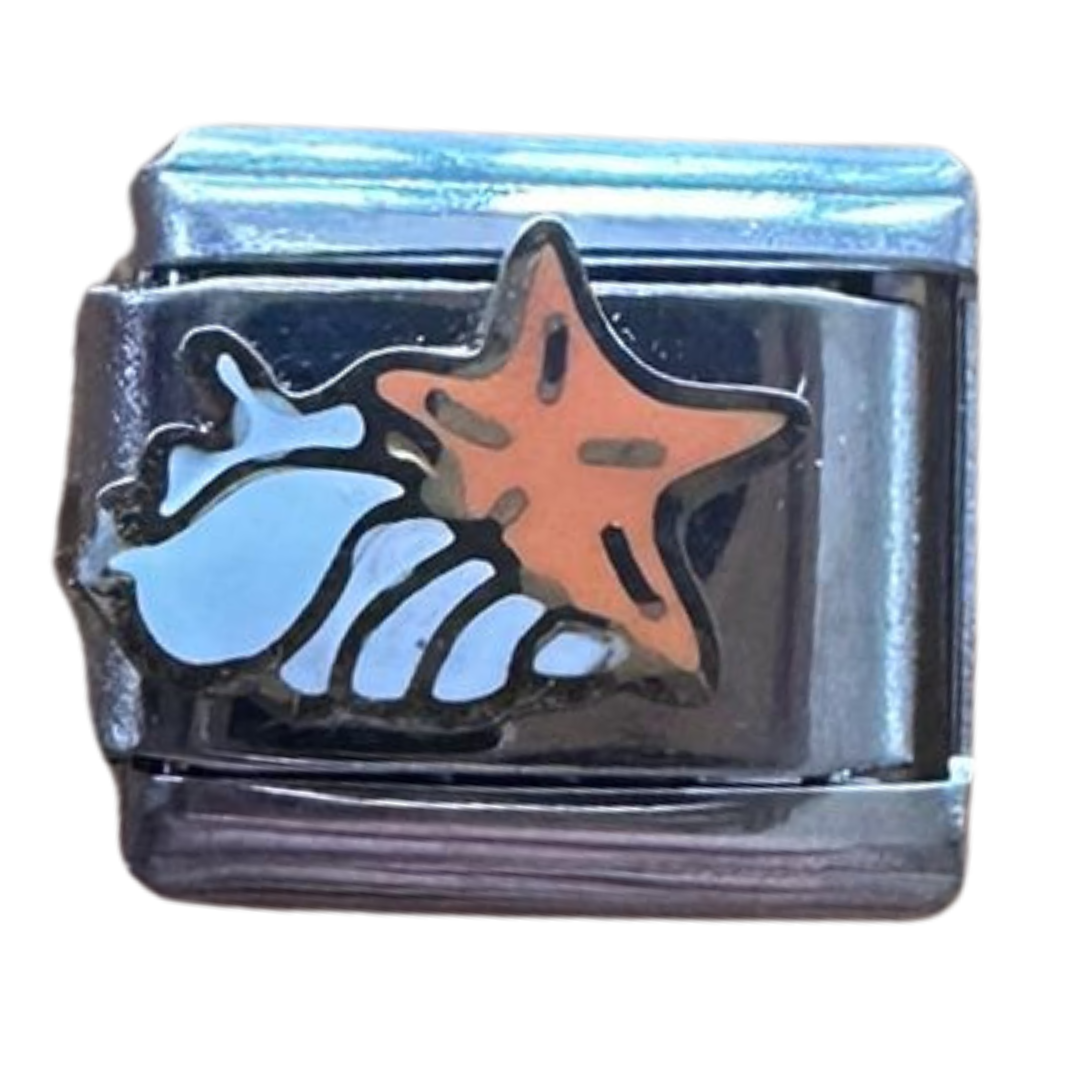 Starfish and Shell
