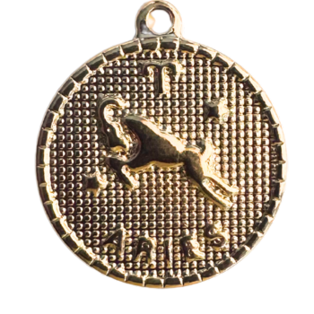 Aries Charm