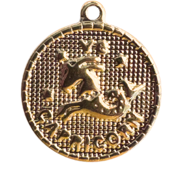 Capricorn Charm