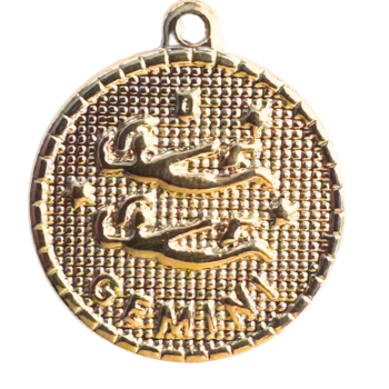 Gemini Charm