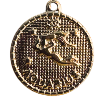 Aquarius Charm