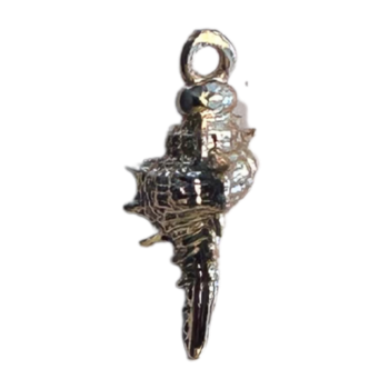 Conch Shell