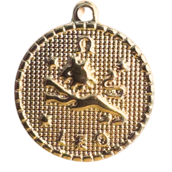 Leo Charm
