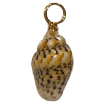 Little Shell