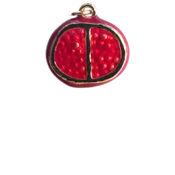 Pomegranate Half