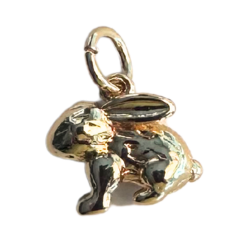Rabbit Charm