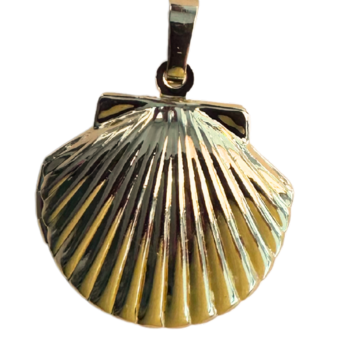 Shell Locket