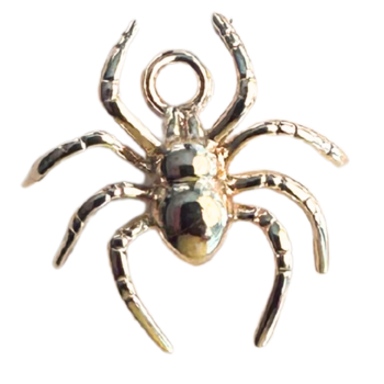 Spider Charm