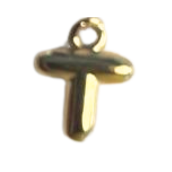 'T' Alphabet Charm